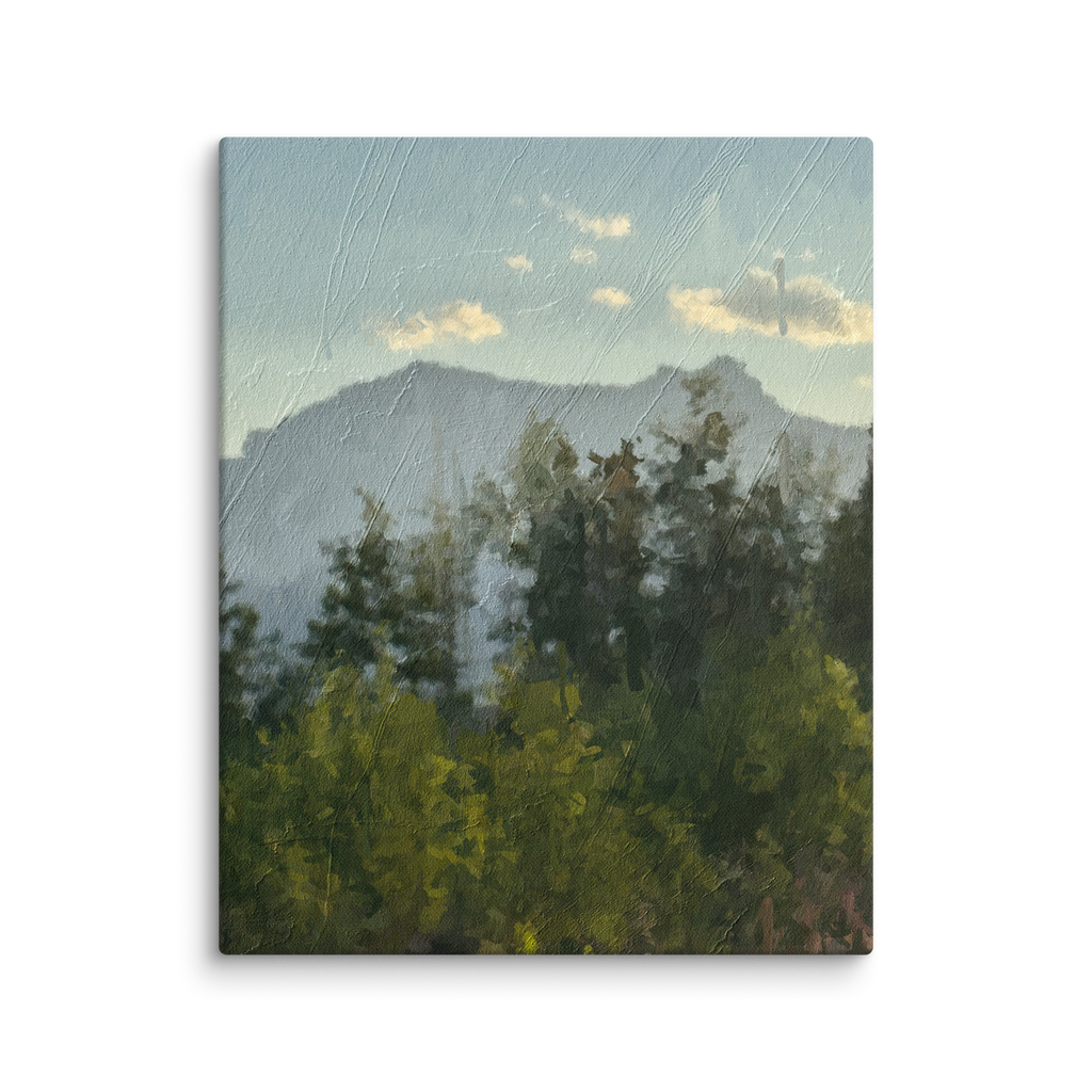 canvas