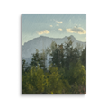 canvas