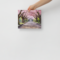 Hand holding a canvas print of a cherry blossom tree-lined path.